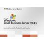 Sisteme de operare server Microsoft Small Business Server 2011 Premium Add-on, OEM DSP OEI