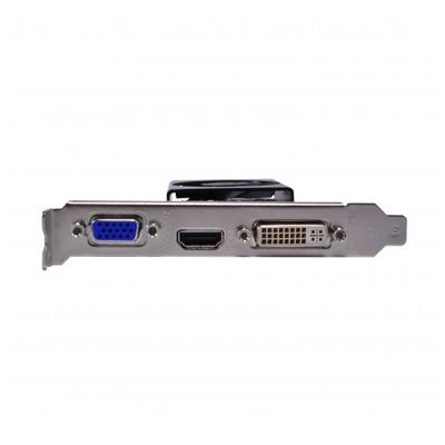 Placa video GAINWARD GeForce 210 1GB DDR3 64-bit