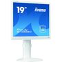 Monitor IIyama ProLite B1980SD-W1 19 inch 5 ms white
