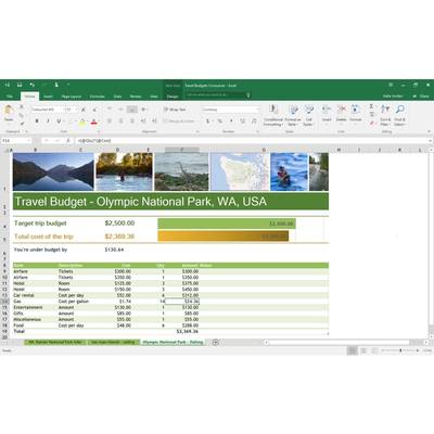 Microsoft Office Home and Business 2016 RO, 32-bit/x64, 1 PC, Medialess - FPP