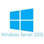 Sisteme de operare cu licente CAL Microsoft LIC OEM 2016 SERVER CAL 5 CLT 1pk