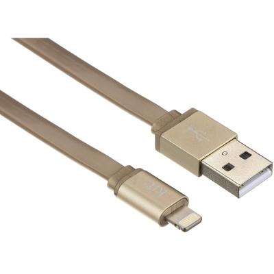 Kit USB Male la Lightning Male, MFi, 1 m, Gold