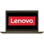 Laptop Lenovo 15.6 IdeaPad 520 IKB, FHD IPS, Procesor Intel Core i5-8250U (6M Cache, up to 3.40 GHz), 8GB DDR4, 2TB, Geforce MX150 4GB, FreeDos, Bronze, no ODD