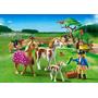 Jucarie PLAYMOBIL Paddock with Horses and Foal
