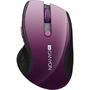 Mouse CANYON CNS-CMSW01P Wireless Purple Pearl Glossy