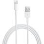 Adaptor Apple Lightning to USB Cable (1m)