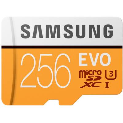 Card de Memorie Samsung memory card Evo micro SDXC 256GB Class 10