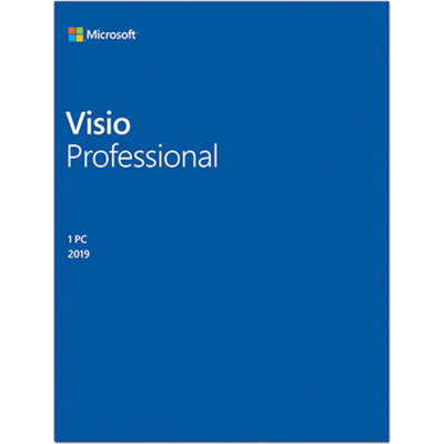 Microsoft Visio Professional 2019, Engleza, Medialess Retail
