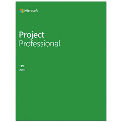 Microsoft Project Professional 2019, 32/64-bit, Engleza, Medialess Retail