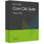 Aplicatie Desktop Microsoft Core CAL Suite 2013 User CAL, OLP NL