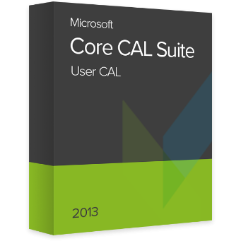 Aplicatie Desktop Microsoft Core CAL Suite 2013 User CAL, OLP NL