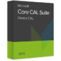 Aplicatie Desktop Microsoft Core CAL Suite 2013 Device CAL, OLP NL
