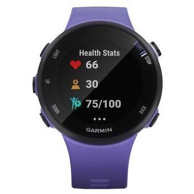 Smartwatch Garmin Forerunner 45S, 39 mm, Iris, GPS + HR