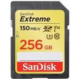 SDXC Extreme UHS-I/U3 Class 10 256GB