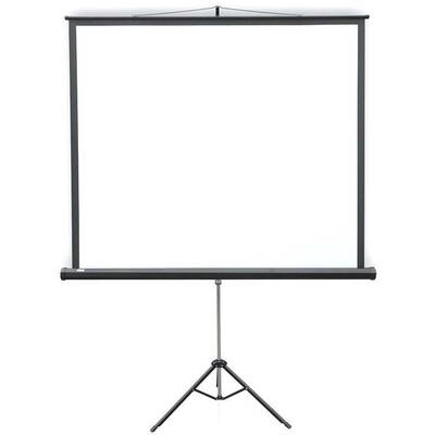 Ecran de proiectie 2X3 portabil pe trepied PROFI 153x203