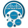 Software Securitate Cisco C9300 DNA Essentials 24-Port Fiber 3 Year Term License