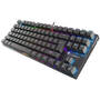 Tastatura Natec MECHANICAL KEYBOARD THOR 300 TKL RGB