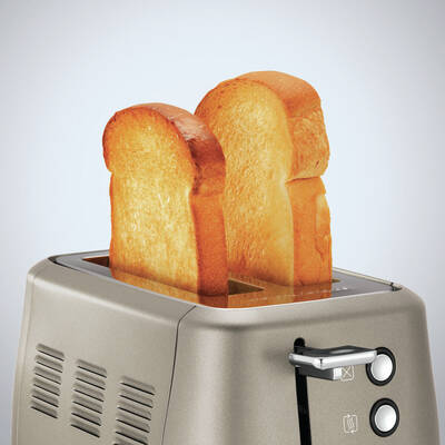 Morphy Richards Evoke Special Edition toaster 2 slice(s) Platinum 850 W