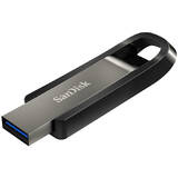 Extreme Go USB flash drive 256 GB USB Type-A 3.2 Gen 1 (3.1 Gen 1) Stainless steel