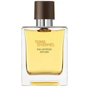 Hermes Apa de Parfum , Terre d'Eau Intense Vetiver, Barbati, 50 ml