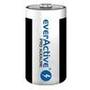everActive Baterie Alkaline batteries Pro Alkaline LR14 C - blister card - 2 pieces