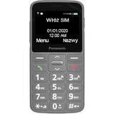 Telefon Mobil MOBILE PHONE PANASONIC PANASONIC KX-TU160EXG Gray