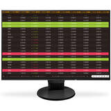 Monitor Eizo FlexScan EV2456-BK 24.1 inch WUXGA IPS 5 ms 60 Hz