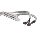 Assmann Cablu Date Slot Bracket USB 2.0 HighSpeed Type 2xIDC (5pin)/4xUSB A M/F grey 0,25m