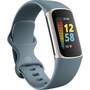 Fitbit Bratara fitness Charge 5 Steel Blue / Platinum