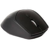 Mouse Rapoo MT550 black