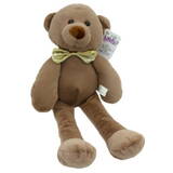 Plush Teddy bear Janek 21 cm