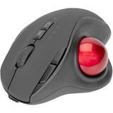 Mouse Assmann Ergonomic Trackball Wireless