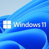 Sistem de Operare Microsoft Windows 11 Home, 64-bit, Engleza, Retail/FPP, USB Flash