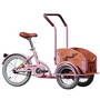 Pegas Bicicleta copii Mini Cargo, 1S, cadru otel 7inch, 1 viteza, roti F/S 12-16inch, roz bujor