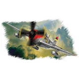 P-47D “Thunderbolt”