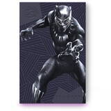 FireCuda Gaming Black Panther Special Edition 2TB USB 3.0 Black