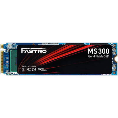 SSD Mega Fastro 2TB  MS300 HS  Series PCI-Express NVMe intern