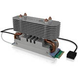 Radiator SSD Icy Box M.2 IB-M2HSF-702 Heatpipe
