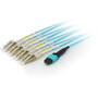 Cablu Fibra Optica EQUIP MTP/LC Trunk Fiber Patch Cord OM4 M/M 20.00m Polietilena
