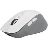 Mouse Delux Wireless Gaming M729DB BT+2.4G 16000DPI (white)