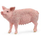 Farm World Pig