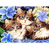 Mozaic cu diamante - Trei pisici