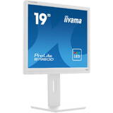 Monitor IIyama ProLite B1980D-W5 19 inch SXGA TN 5 ms 60 Hz