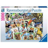 Puzzle Ravensburger Polska Puzzles 1000 elements A Travelers Animal Journal