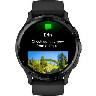 Smartwatch Garmin Venu 3 Black, Slate
