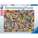 Puzzle Ravensburger 1000 Piese Collection of shells