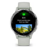 Smartwatch Garmin Venu 3S Sage Grey/Slate