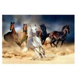 Jucarie Creativa Norimpex Diamond mosaic - Horses at a gallop