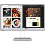 Monitor Lenovo L24i-40 LED 60.5 cm (23.8") 1920 x 1080 pixels Full HD Grey