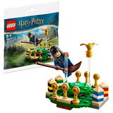 LEGO Harry Potter Antrenament de Quidditch 30651